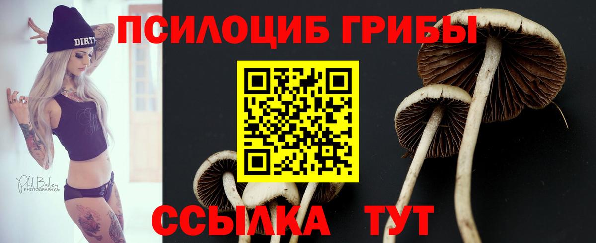Псилоцибиновые грибы Magic Shrooms  Вход с VPN  Балтийск  Галлюциногенные грибы прущие грибы 